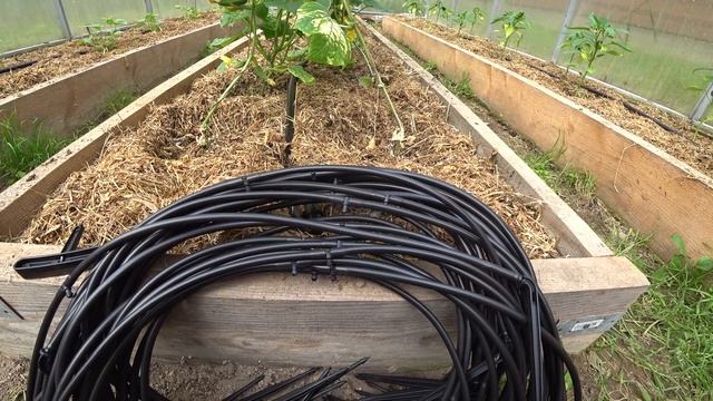 Установка капельного полива Жук на 120 растений смотреть онлайн