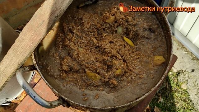 ОБЕЗВОЖИВАНИЕ У НУТРИЙ. Симптомы и как избежать. смотреть онлайн