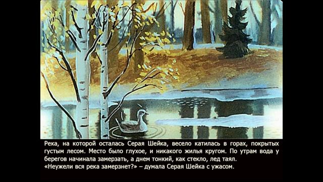 Серая Шейка Д.Н. Мамин-Сибиряк (диафильм озвученный) 1989 г. смотреть онлайн