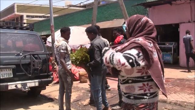 Ethiopian Town Street View 2/2 смотреть онлайн