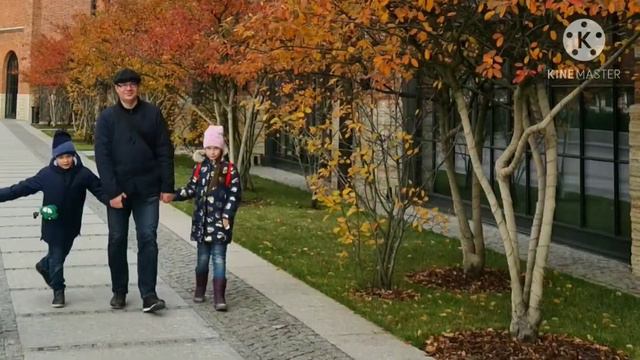 Остров Новая Голландия 2020