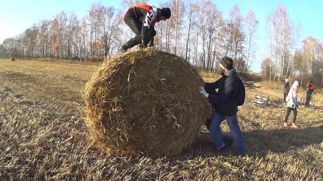 путь к потапычу на велосипедах смотреть онлайн