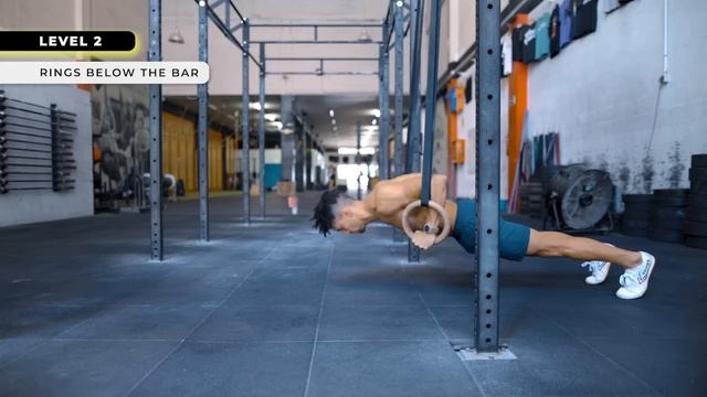 Gymnastic Rings Workout For Beginners (Strength & Muscle Builder)