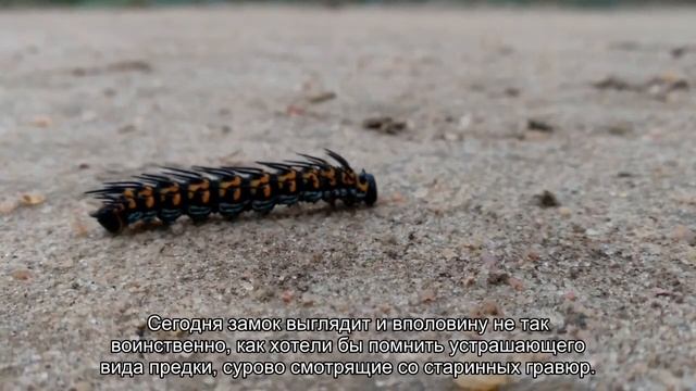 Загадочный Мацумото смотреть онлайн