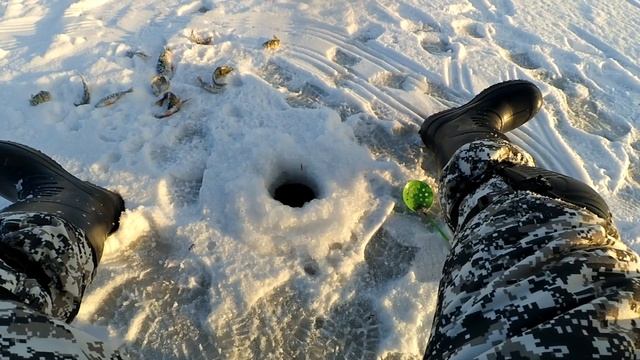 [Мормышка] Окунь долбит как ненормальный! смотреть онлайн