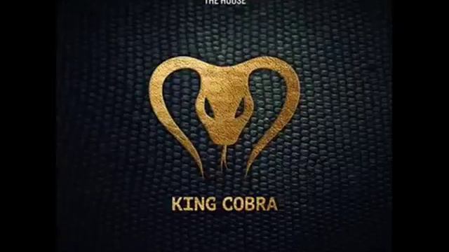 Yves V & Don Diablo - King Cobra (Original mix) смотреть онлайн