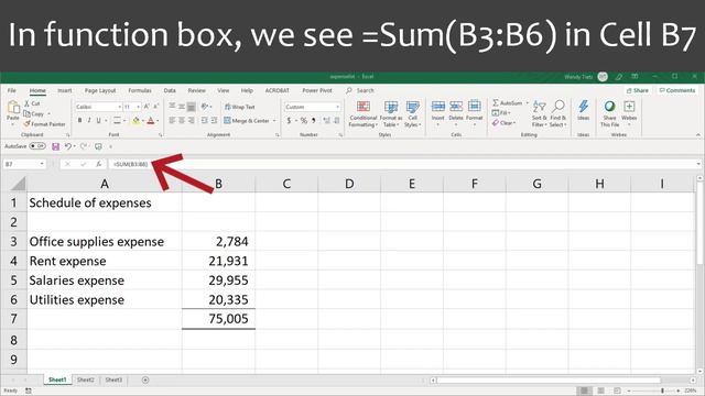 101.18 Excel how use the SUM function MAC смотреть онлайн
