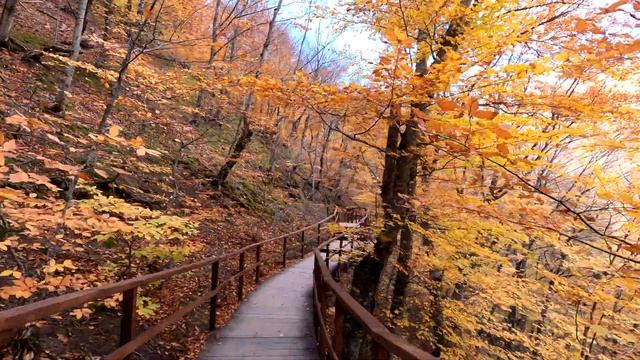 Почему стоит приехать в КРЫМ осенью. Показываем красивые локации для фото и места отдыха в Крыму. смотреть онлайн