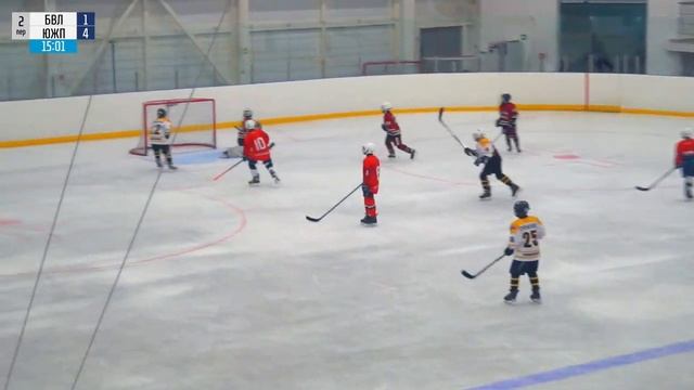 Буйволы - Южные Пингвины