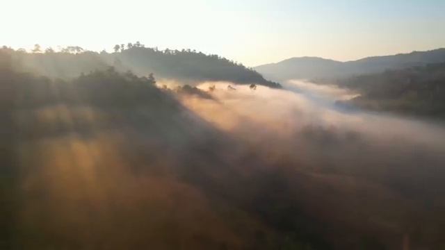 Высокие вибрации благодарности ✨ Мощная мотивация на утро.mp4 смотреть онлайн