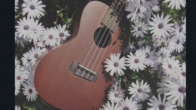 BELLIE EILISH- When the party’s over (cover) |Ukulele| смотреть онлайн