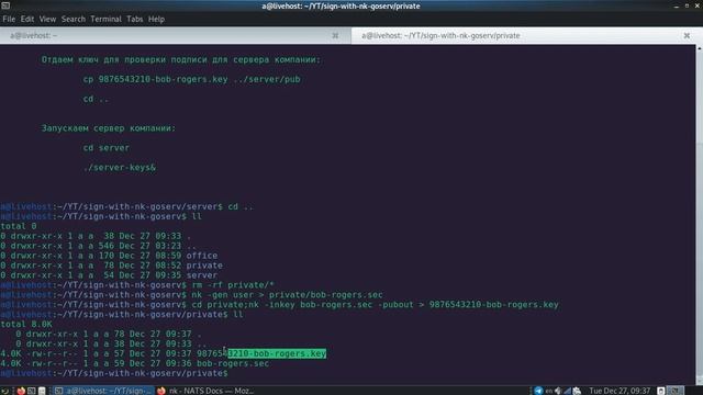 Подписываем документ с помощью nk (ed25519) утилиты NATS #cryptographyhowto смотреть онлайн
