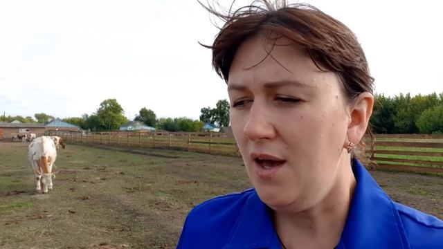 СЧИТАЮ ПРИБЫЛЬ ОТ СДАЧИ БЫКОВ // КОГО ВЫГОДНО РАЗВОДИТЬ: КОРОВЫ НА МОЛОКО ИЛИ БЫКИ НА МЯСО смотреть онлайн