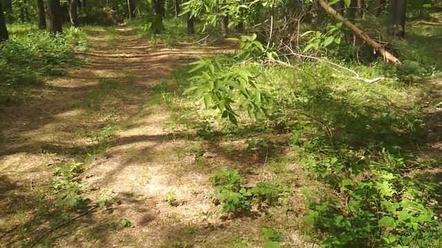 Плоская ЗЕМЛЯ!!! Куда Пропадают Люди? 1 часть смотреть онлайн