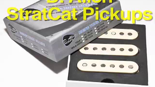 D. Allen Stratcat Pickups (soundclip 01).mov смотреть онлайн