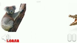 Карточки Домана Глена 2. ТЕМА : ЖИВОТНЫЕ АВСТРАЛИИ