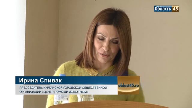 Курганские зоозащитники предлагают бесплатно чипировать и стерилизовать животных смотреть онлайн