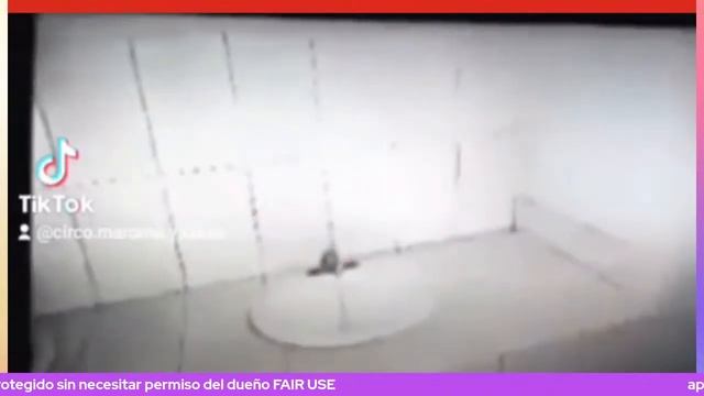 Cuando Te Fallan.....