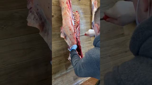    дружба и общение