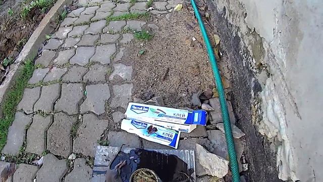 Черви для биогумуса #735 смотреть онлайн