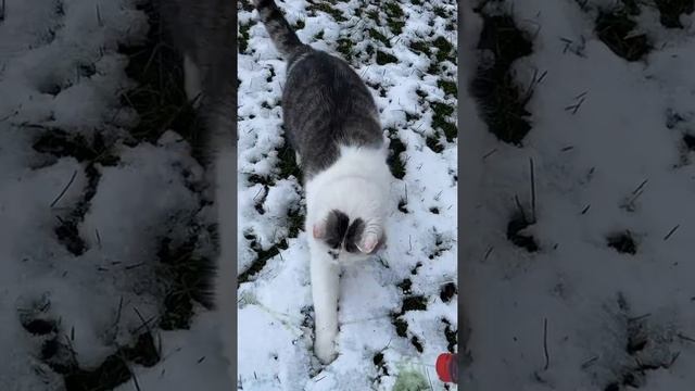 ОТКРЫВАЕМ АДВЕНТ КАЛЕНДАРЬ ДЕНЬ 17 смотреть онлайн