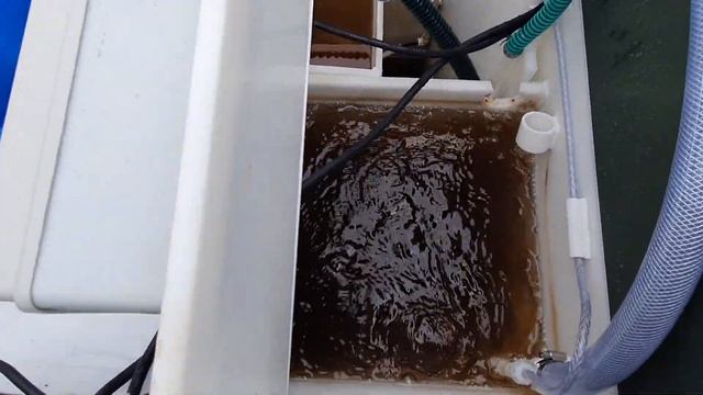 Топас с 5пр смотреть онлайн