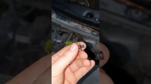 Снятие жабо на Kia Rio