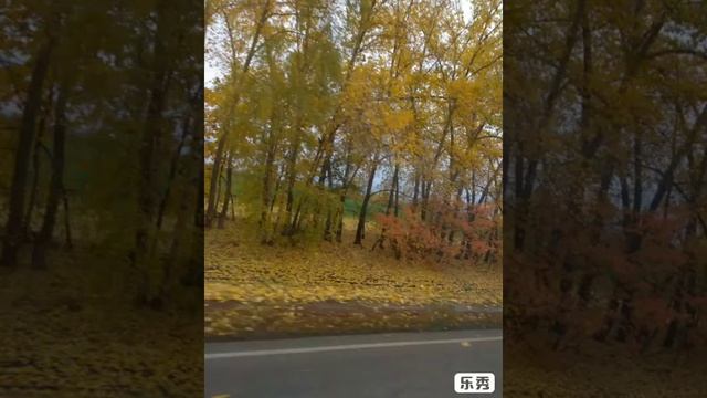 15.10.2019 год. Стихи. ЛЮДМИЛЫ БОРИСОВНЫ КИМ. Все куда - то спешат. смотреть онлайн