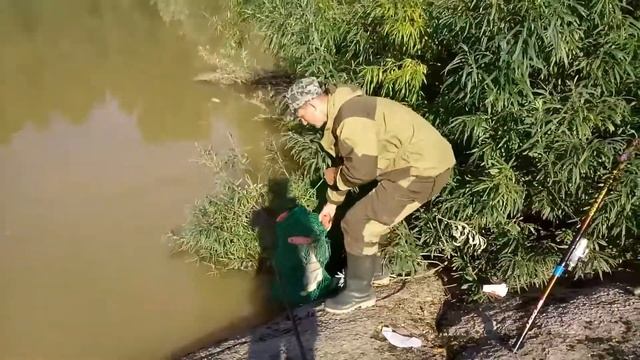 Рыбалка на реке Лебедь.Горный Алтай.Турочак. смотреть онлайн
