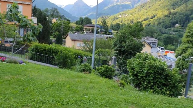 28.05.20. Наши Ирисы в цветении. Швейцария. смотреть онлайн