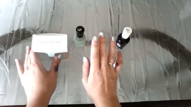 Filofax Set Up & New Release Sally Hansen Nail Polish Review!! смотреть онлайн