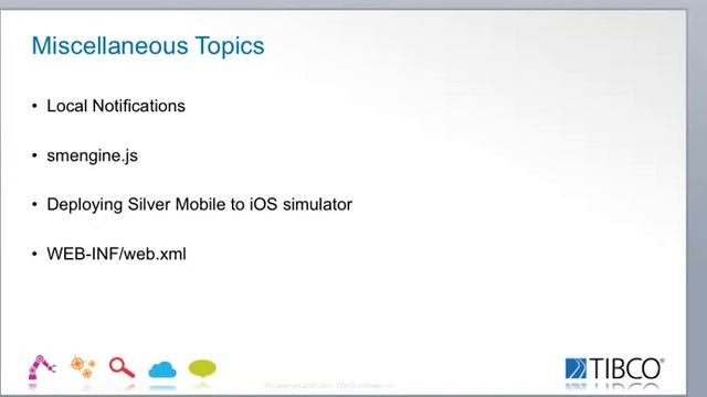 TIBCO Silver Mobile Part 7 - MiscTopics смотреть онлайн