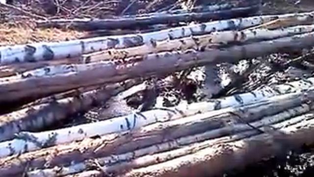 На охоту в чистое поле смотреть онлайн