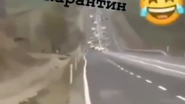 Чеченские приколы смотреть онлайн