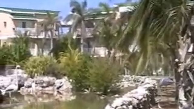 Flamingos of Tryp Cayo Coco смотреть онлайн