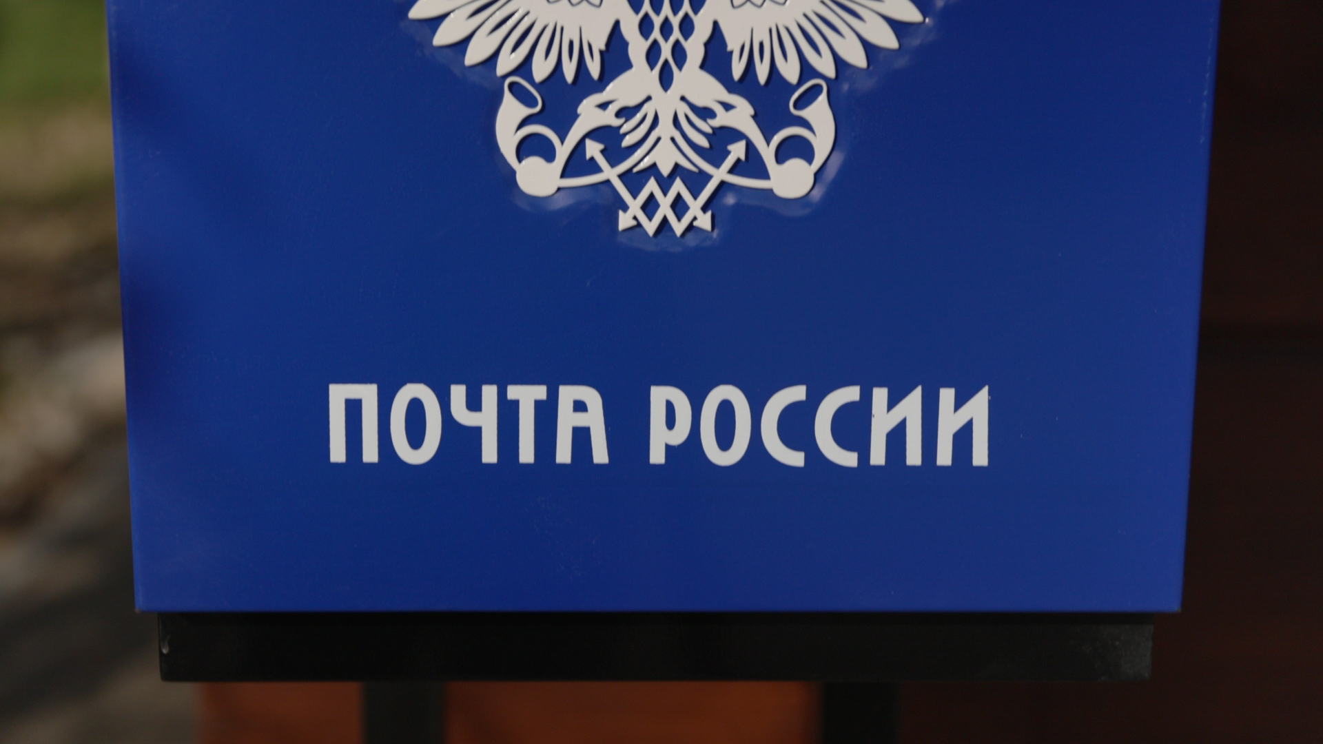 Масс-Медиа Камчатка