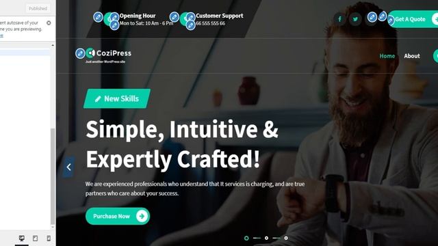 15) Additional CSS Setting in the WordPress Cozipress Theme смотреть онлайн