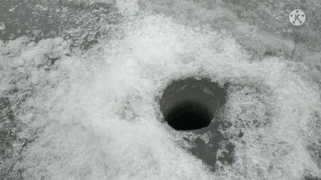 Весенняя щучка! Из не опубликованного. смотреть онлайн