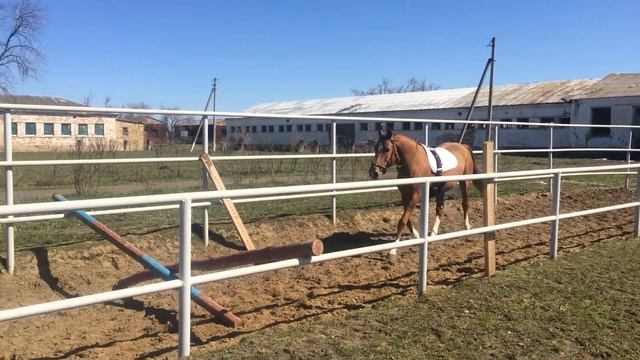 Цейс первый раз в шпринте 3 смотреть онлайн