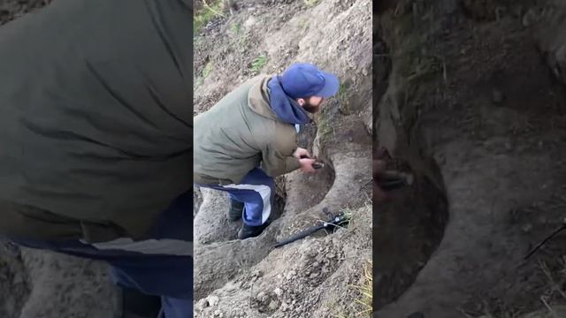 Рыбалка 2022 Ловим большую рыбу. #рыбалка #животные #рыба смотреть онлайн