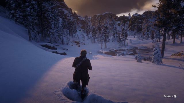 BEST HORSE (white Arabian) Red Dead Redemption 2 смотреть онлайн