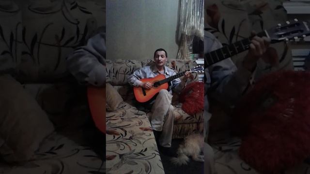 Песня про сыр и ворону смотреть онлайн