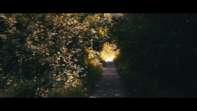 Wanderer - Canon 50D Raw video test смотреть онлайн