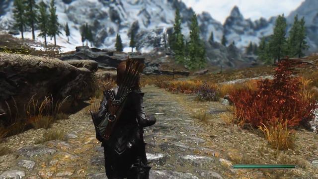 Skyrim SE - BAD NEWS For SKSE 64 Script Extender!?