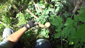 ГЕРБИЦИД - УБИВАЕТ ВСЁ ЖИВОЕ.