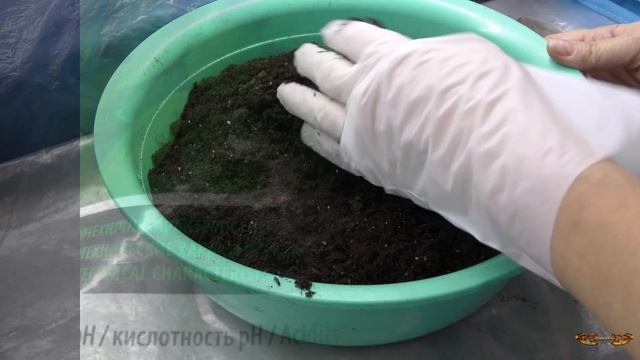 Какой грунт для рассады лучше? Кислотность почвы - кто какую любит? Как раскислять покупной грунт смотреть онлайн