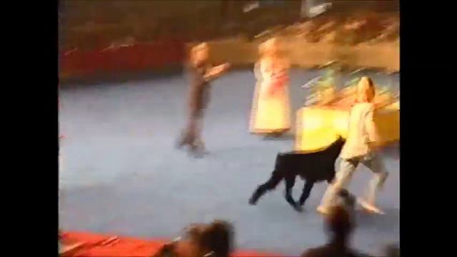 BEST IN SHOW Copenaghen 1997- THE WINNER IS VASCO!!!! смотреть онлайн