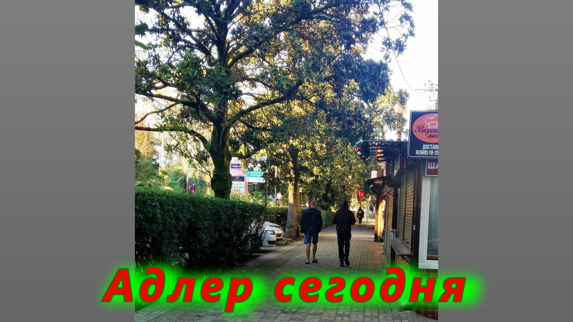 Адлер МИКС смотреть онлайн