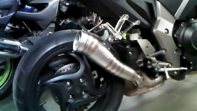 Leo Vince GP Pro Evo II SS on Honda CB1000R смотреть онлайн