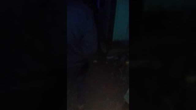 Зверский звук хонда дио смотреть онлайн